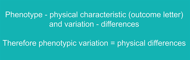 Text to remember phenotypic variation is the physical differences